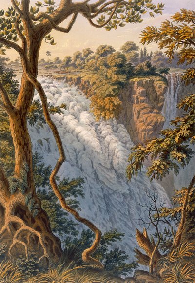 Victoria Falls: The Leaping Water by Thomas Baines